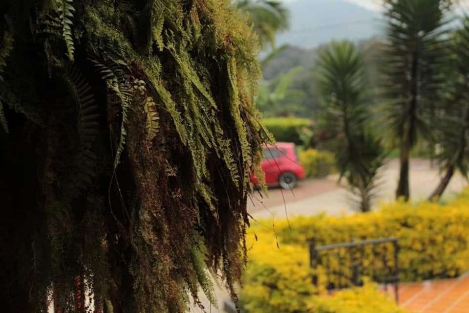 Calarcá Finca Hotel El Diamante מראה חיצוני תמונה