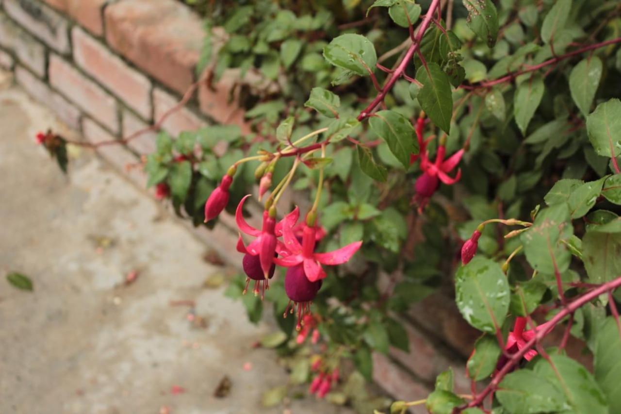 Calarcá Finca Hotel El Diamante מראה חיצוני תמונה