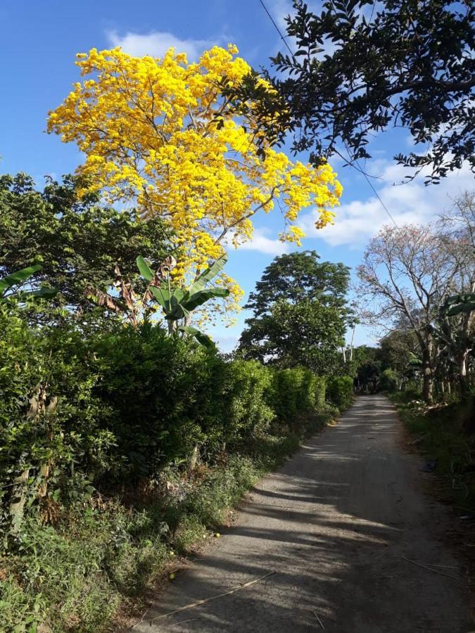 Calarcá Finca Hotel El Diamante מראה חיצוני תמונה