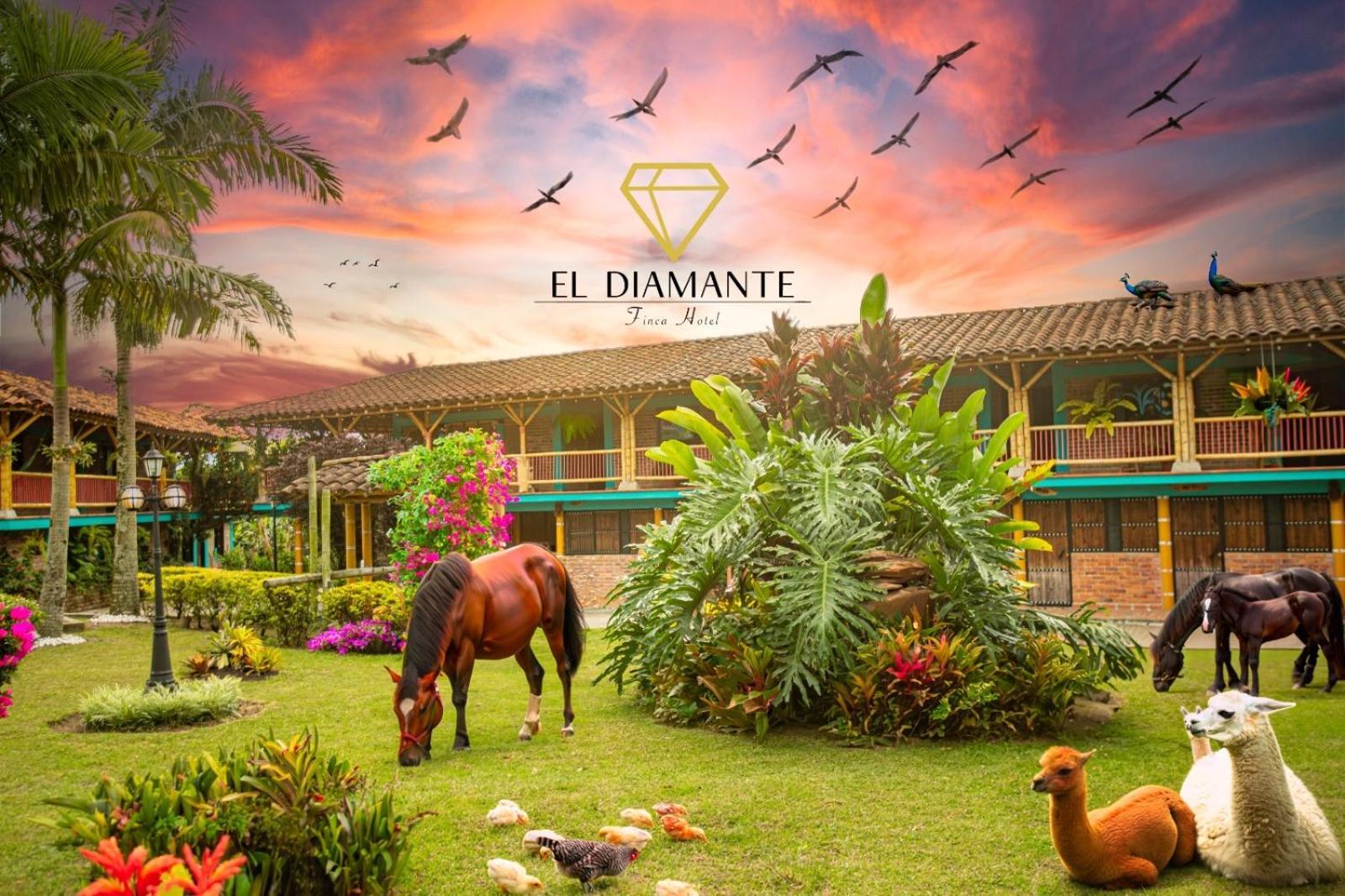 Calarcá Finca Hotel El Diamante מראה חיצוני תמונה